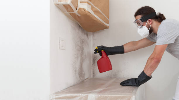 Professional Crawl Space Mold Remediation technician working in Lake Ann, MI