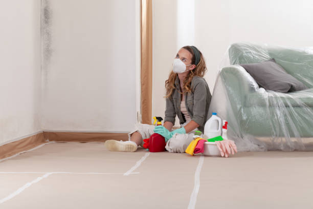 Reliable Crawl Space Mold Remediation contractor in Lake Ann, MI by Mold Remediation HQ